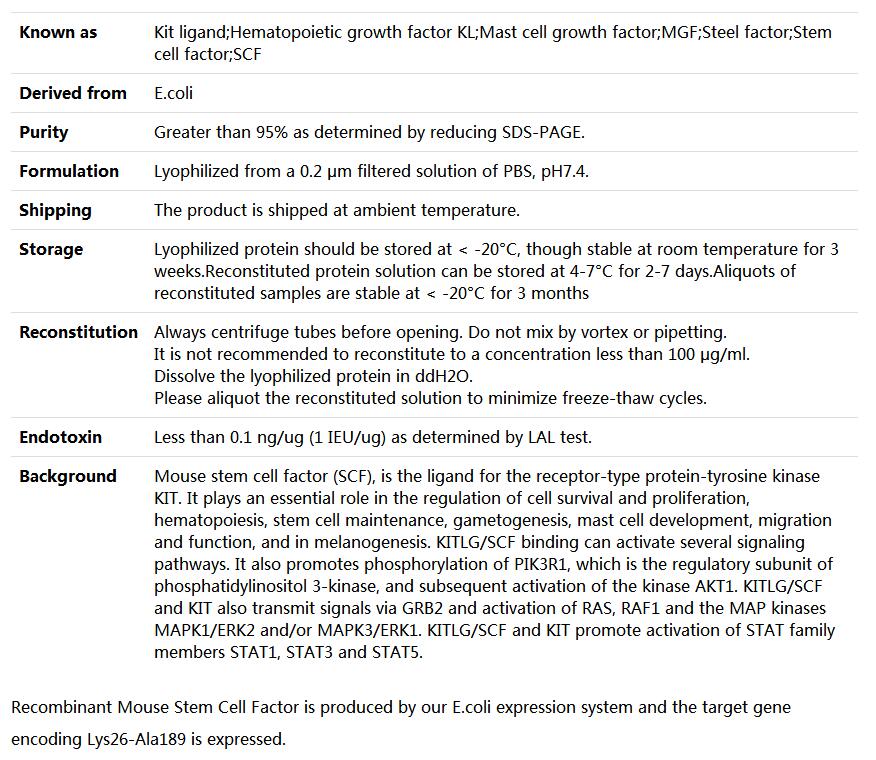 Recombinant Mouse stem cell factor/SCF,索莱宝,P00109-500ug