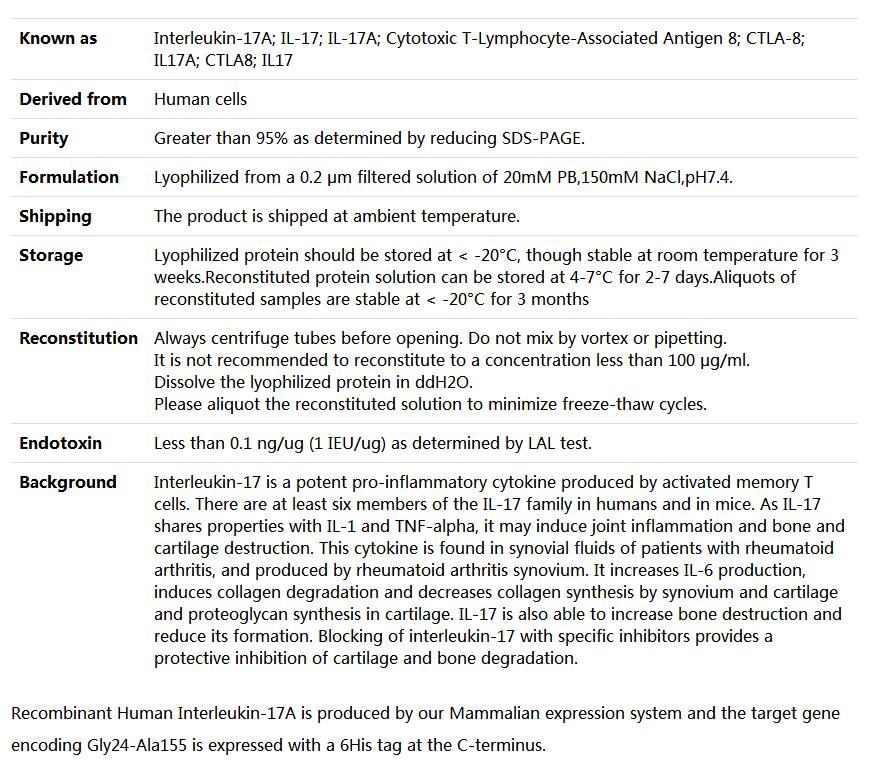 Recombinant Human IL-17A,索莱宝,P00108-500ug