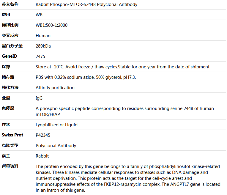 Phospho-MTOR-S2448 Antibody,索莱宝,K006205P-100ul