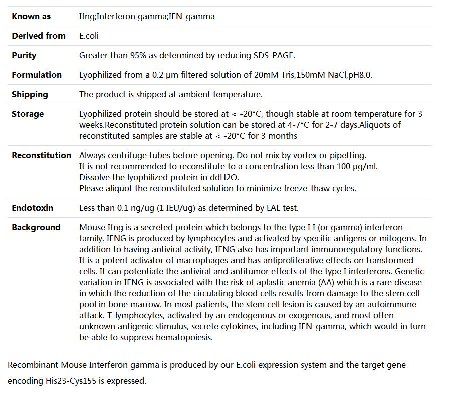 Recombinant Mouse IFN-gamma/IFNγ,索莱宝,P00106-1mg