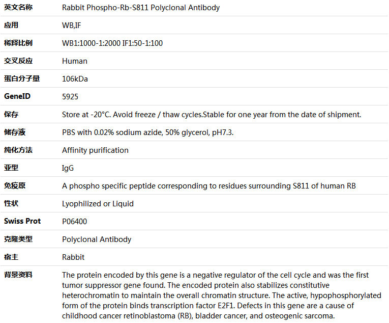 Phospho-Rb-S811 Antibody,索莱宝,K006202P-50ul