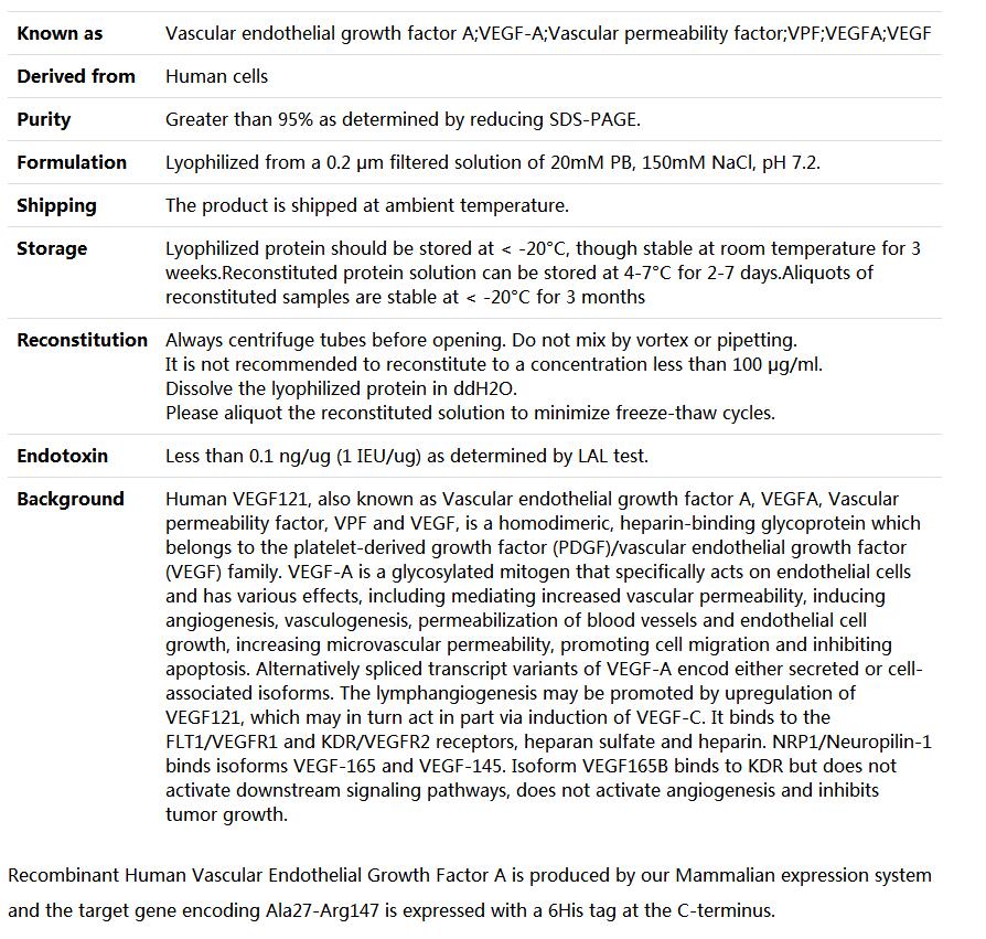 Recombinant Human VEGF121/Vascular Endothelial Growth Factor Isoform 121,索莱宝,P00105-50ug