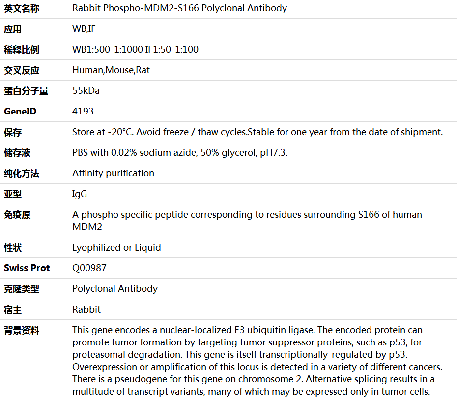 Phospho-MDM2-S166 Antibody,索莱宝,K006196P-100ul