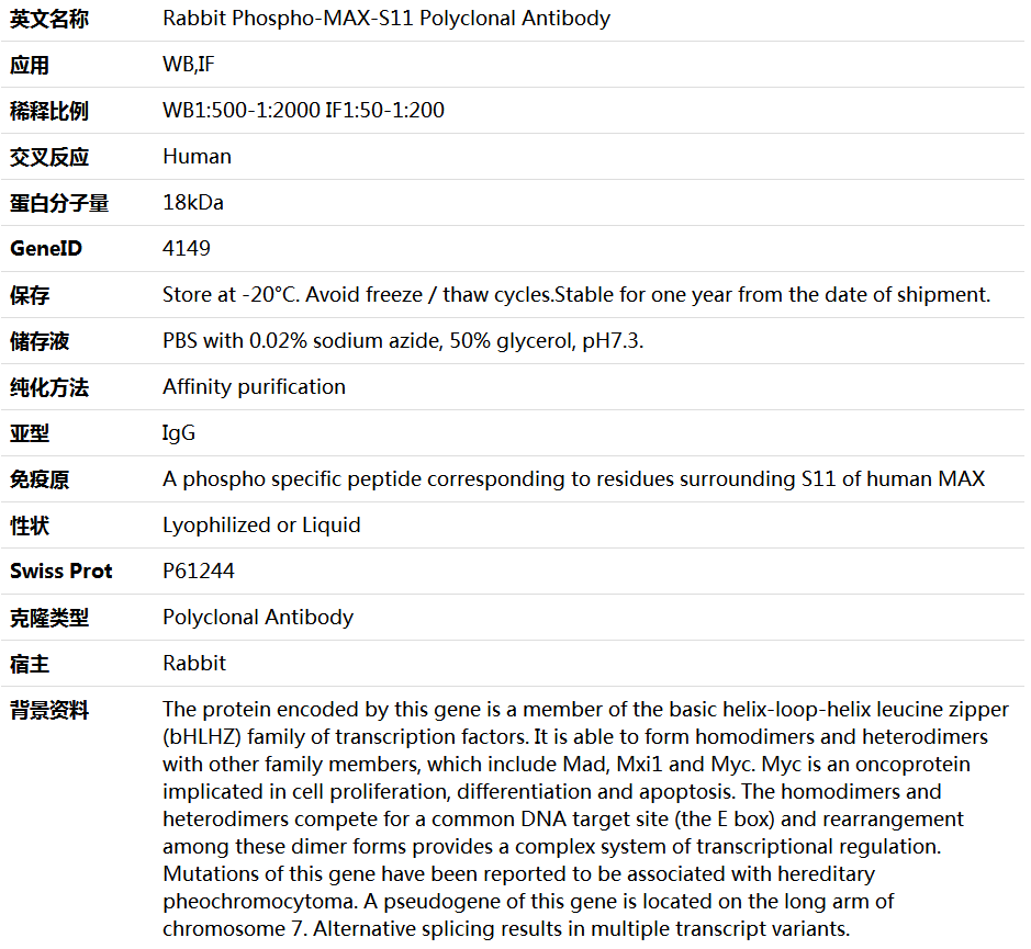 Phospho-MAX-S11 Antibody,索莱宝,K006195P-100ul