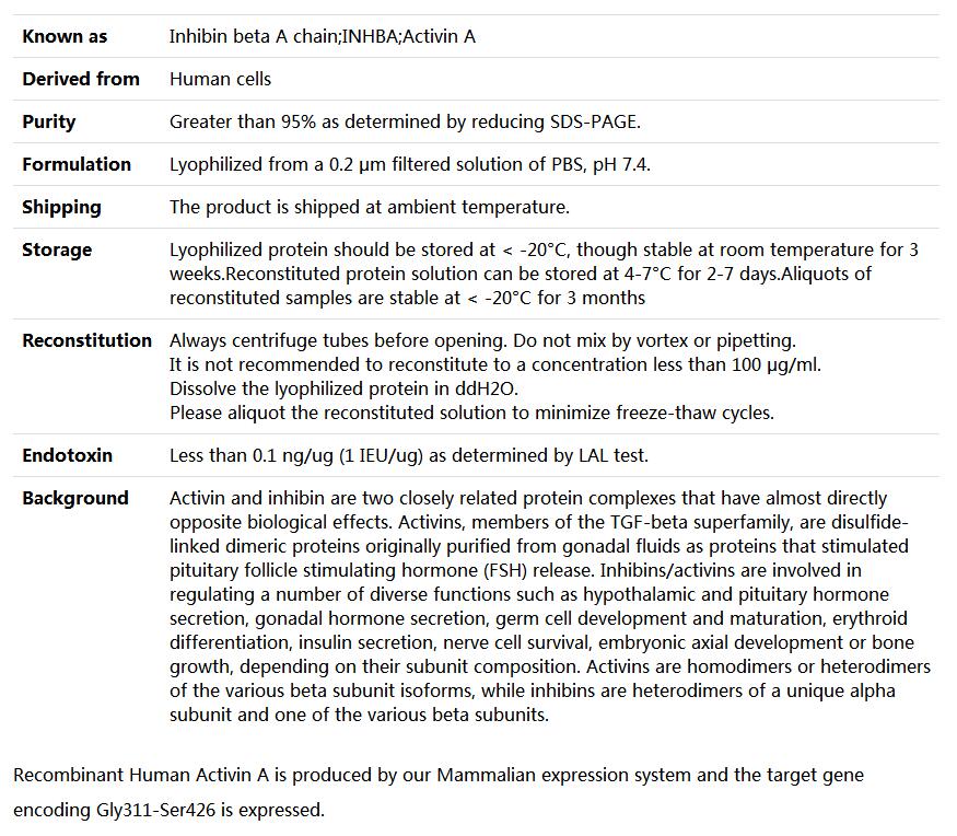 Recombinant Human Inhibin beta A chain/Activin A/INHBA,索莱宝,P00101-500ug