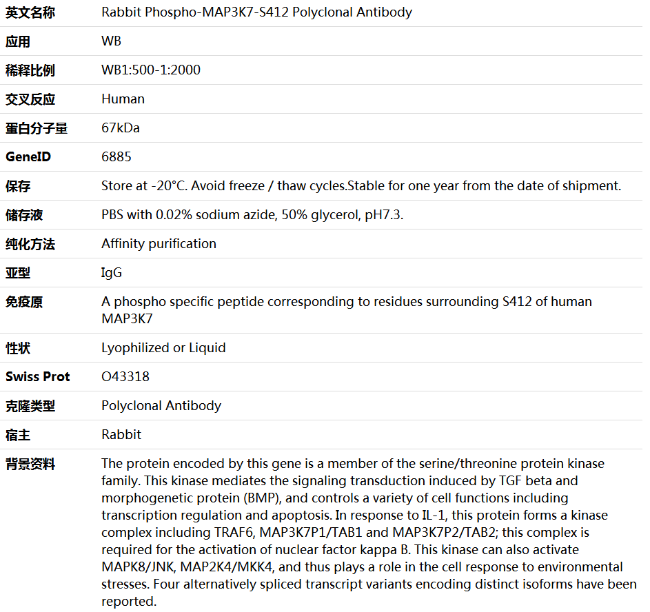 Phospho-MAP3K7-S412 Antibody,索莱宝,K006194P-100ul