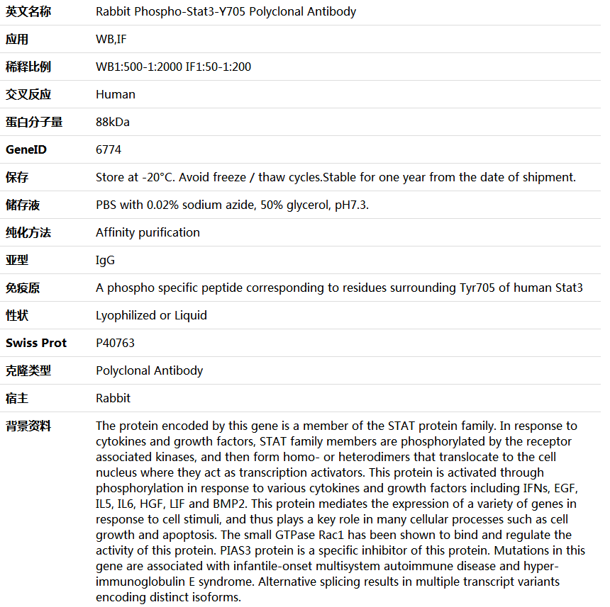 Phospho-Stat3-Y705 Antibody,索莱宝,K006193P-100ul