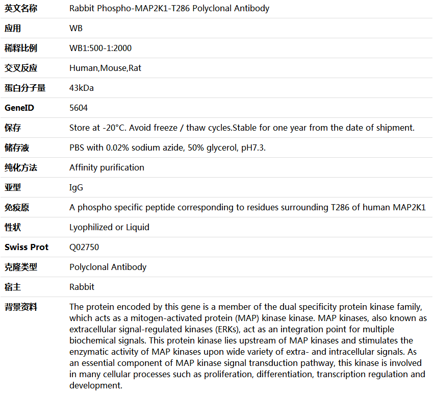 Phospho-MAP2K1-T286 Antibody,索莱宝,K006192P-100ul