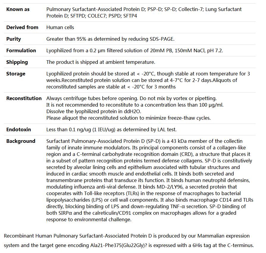 Recombinant Human SP-D/Pulmonary surfactant-associated protein D,索莱宝,P00095-50ug