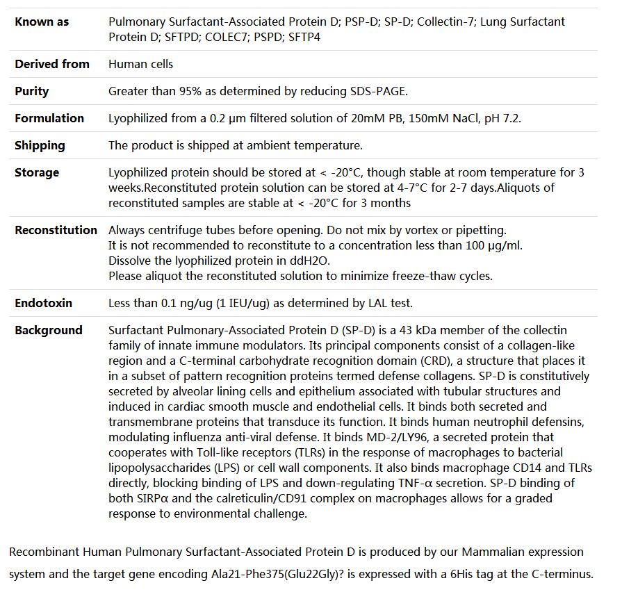 Recombinant Human SP-D/Pulmonary surfactant-associated protein D,索莱宝,P00095-1mg