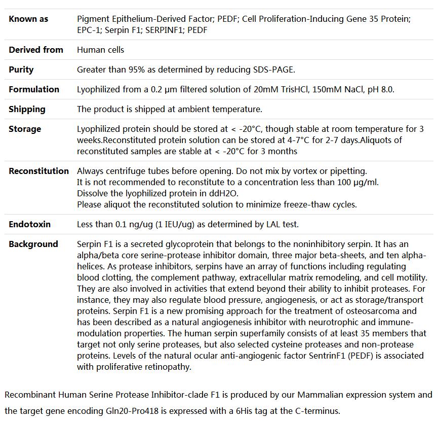 Recombinant Human Serpin F1,索莱宝,P00094-1mg