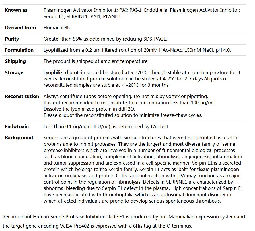 Recombinant Human Serpin E1,索莱宝,P00093-50ug