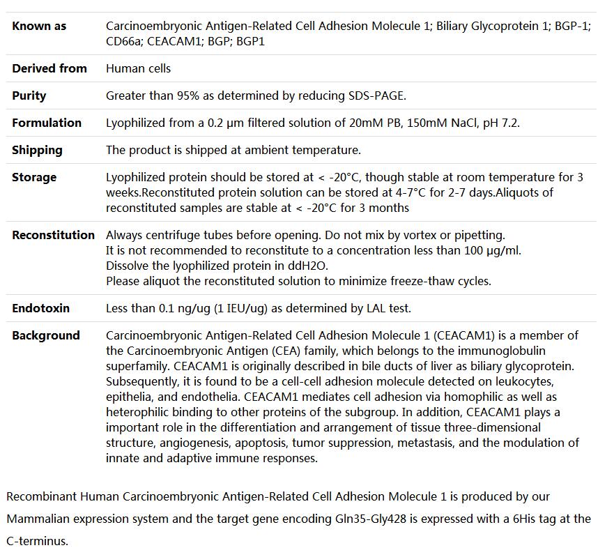 Recombinant Human CD66a/CEACAM1,索莱宝,P00089-1mg