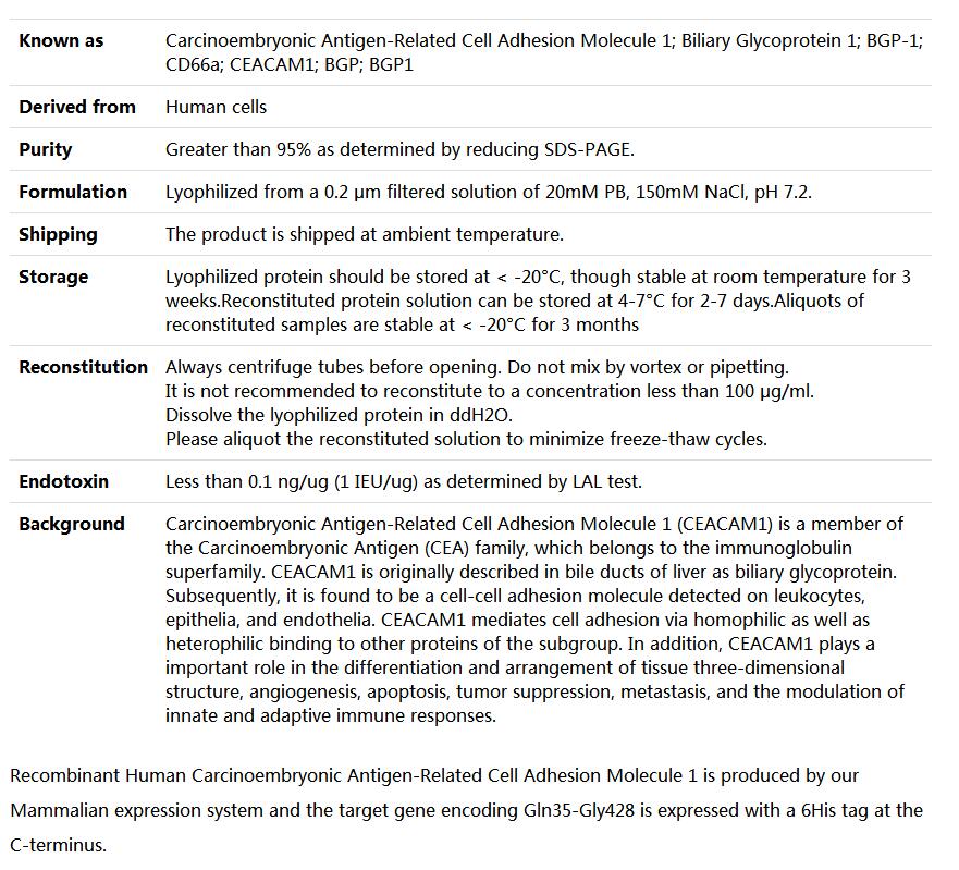 Recombinant Human CD66a/CEACAM1,索莱宝,P00089-500ug