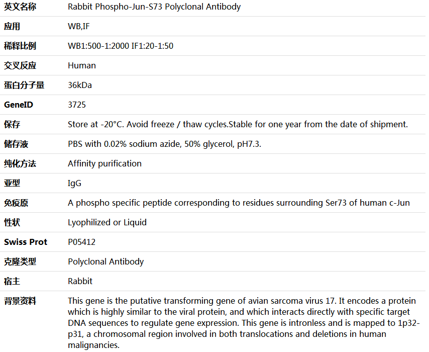 Phospho-Jun-S73 Antibody,索莱宝,K006182P-100ul