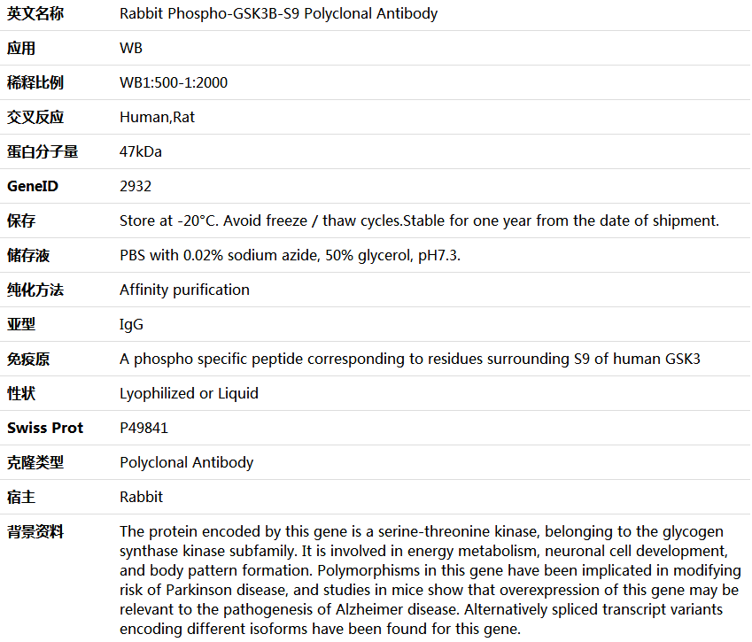 Phospho-GSK3B-S9 Antibody,索莱宝,K006178P-100ul