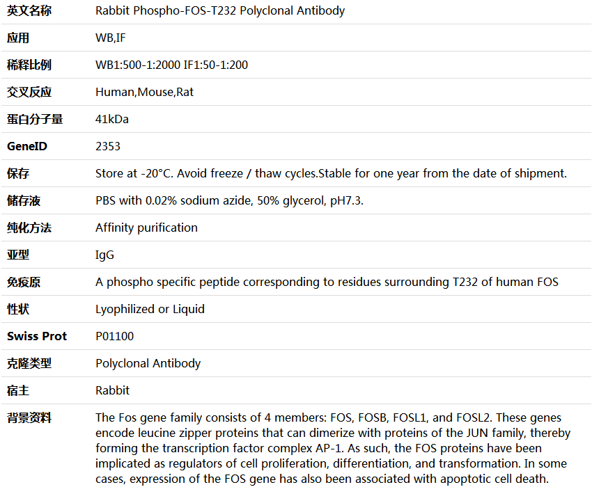 Phospho-FOS-T232 Antibody,索莱宝,K006177P-50ul