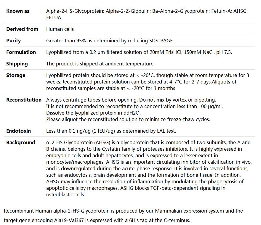 Recombinant Human Fetuin A/AHSG,索莱宝,P00087-50ug