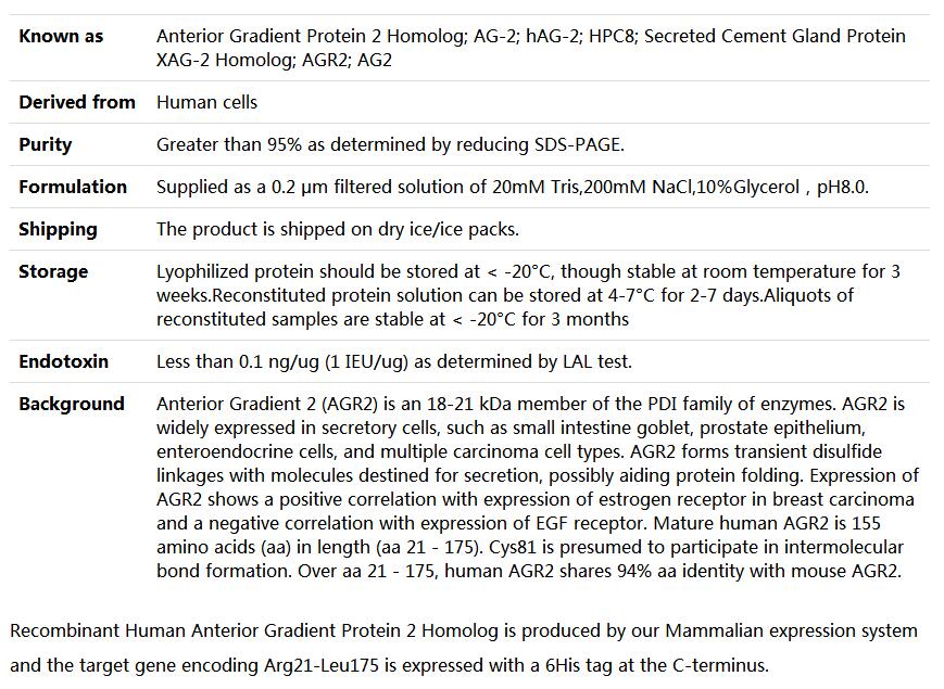 Recombinant Human AG-2/HPC8/AGR2,索莱宝,P00086-50ug