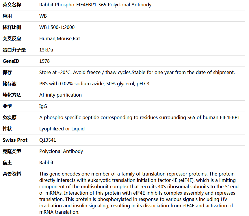 Phospho-EIF4EBP1-S65 Antibody,索莱宝,K006174P-100ul
