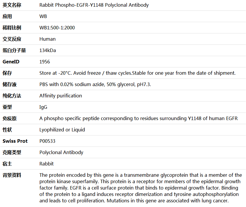 Phospho-EGFR-Y1148 Antibody,索莱宝,K006173P-100ul