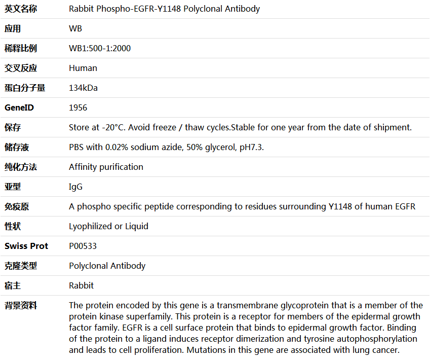 Phospho-EGFR-Y1148 Antibody,索莱宝,K006173P-50ul