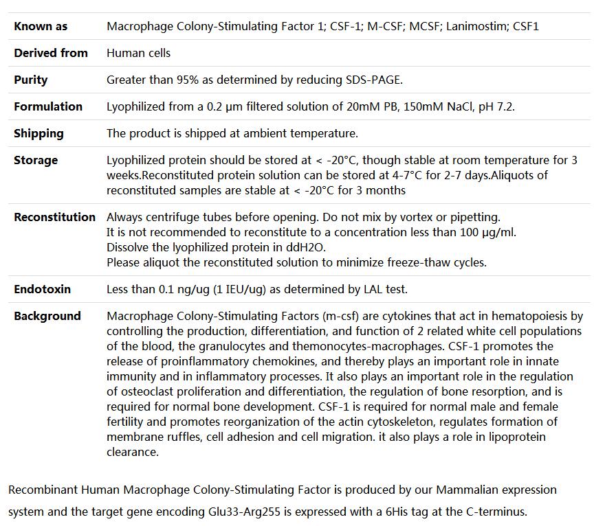 Recombinant Human M-CSF,索莱宝,P00085-10ug