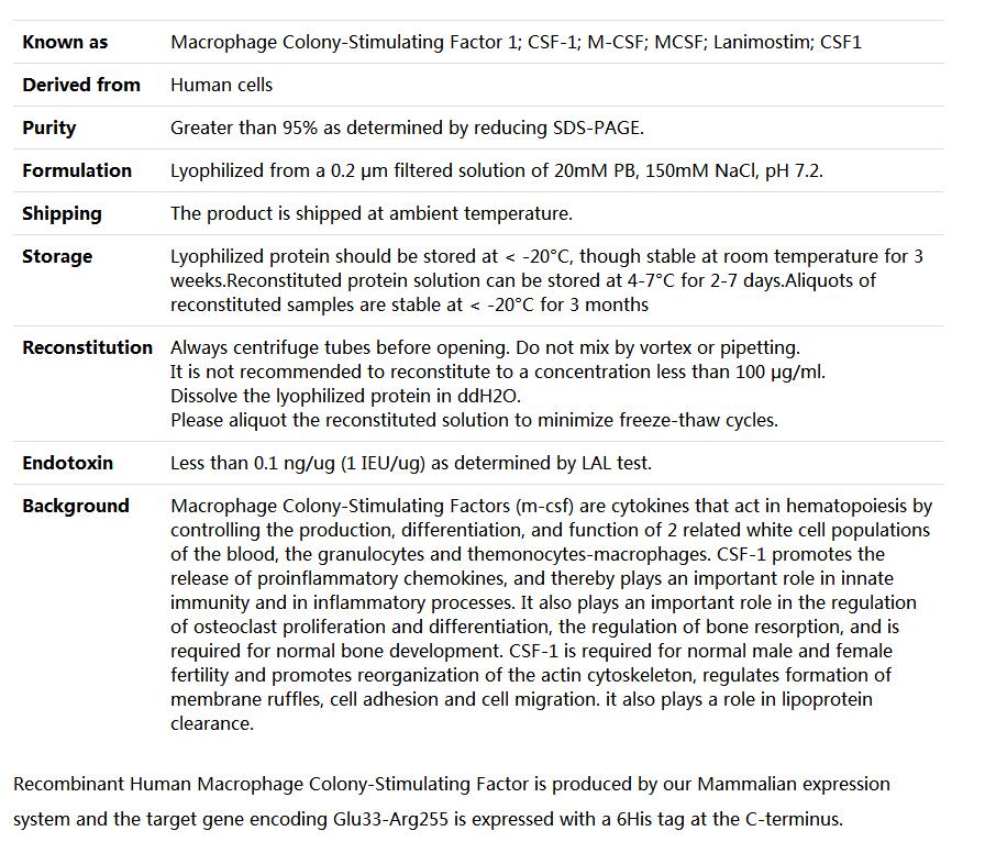 Recombinant Human M-CSF,索莱宝,P00085-1mg