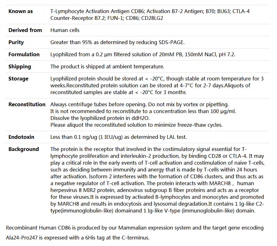 Recombinant Human B7-2/CD86,索莱宝,P00084-500ug