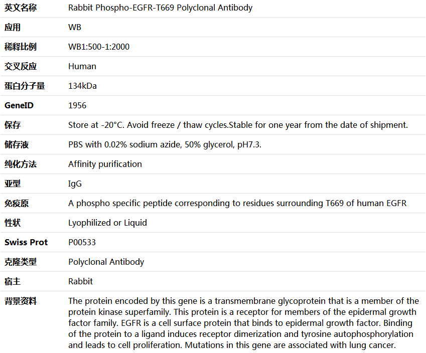 Phospho-EGFR-T669 Antibody,索莱宝,K006171P-100ul