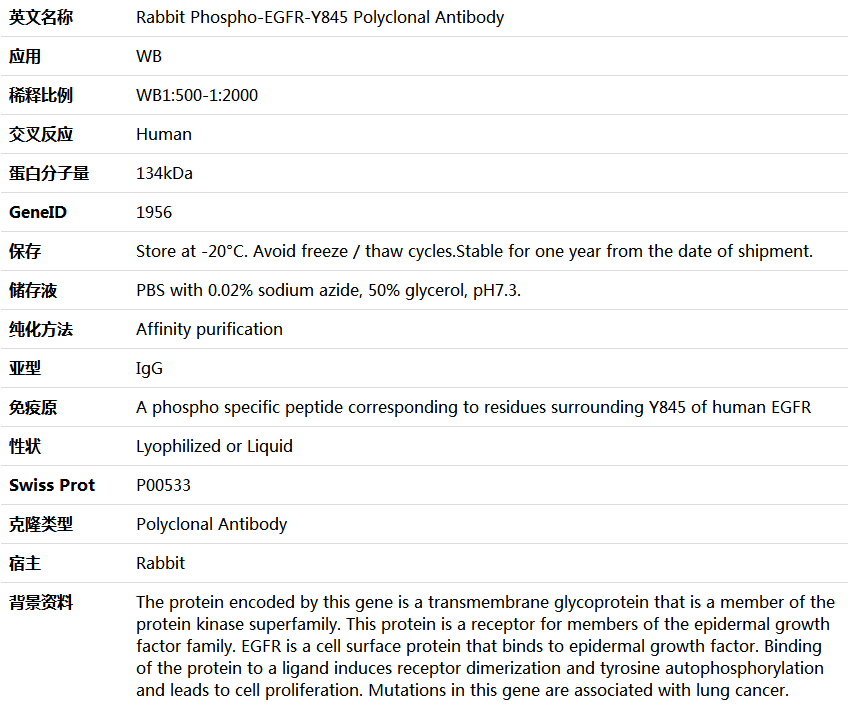 Phospho-EGFR-Y845 Antibody,索莱宝,K006169P-100ul