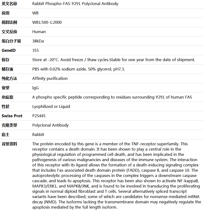 Phospho-FAS-Y291 Antibody,索莱宝,K006162P-100ul