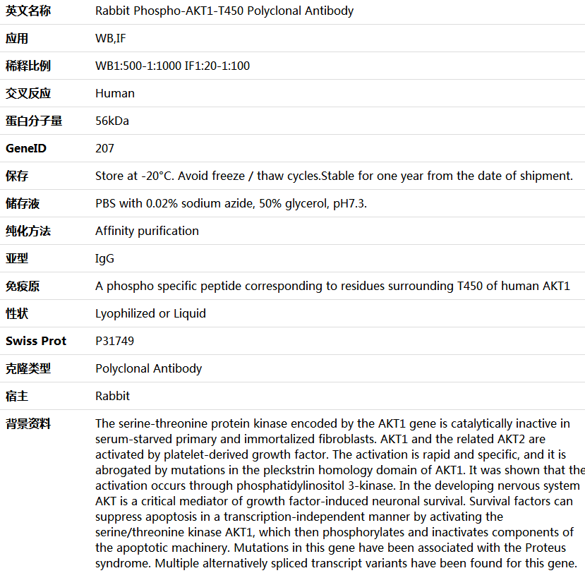 Phospho-AKT1-T450 Antibody,索莱宝,K006159P-50ul