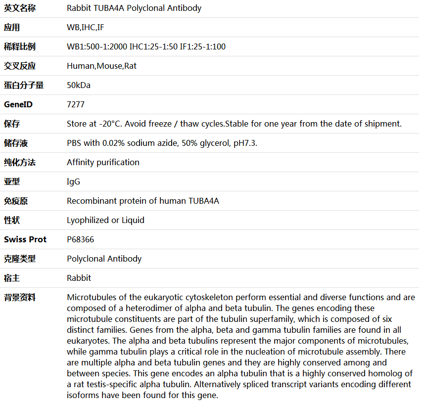 TUBA4A Antibody,索莱宝,K006156P-50ul
