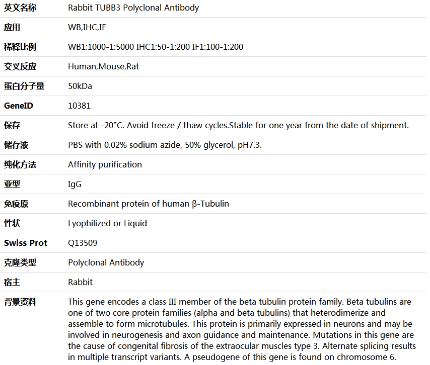 TUBB3 Antibody,索莱宝,K006155P-50ul