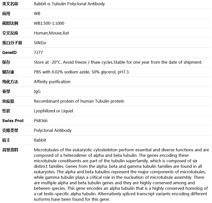 α-Tubulin Antibody,索莱宝,K006154P-50ul