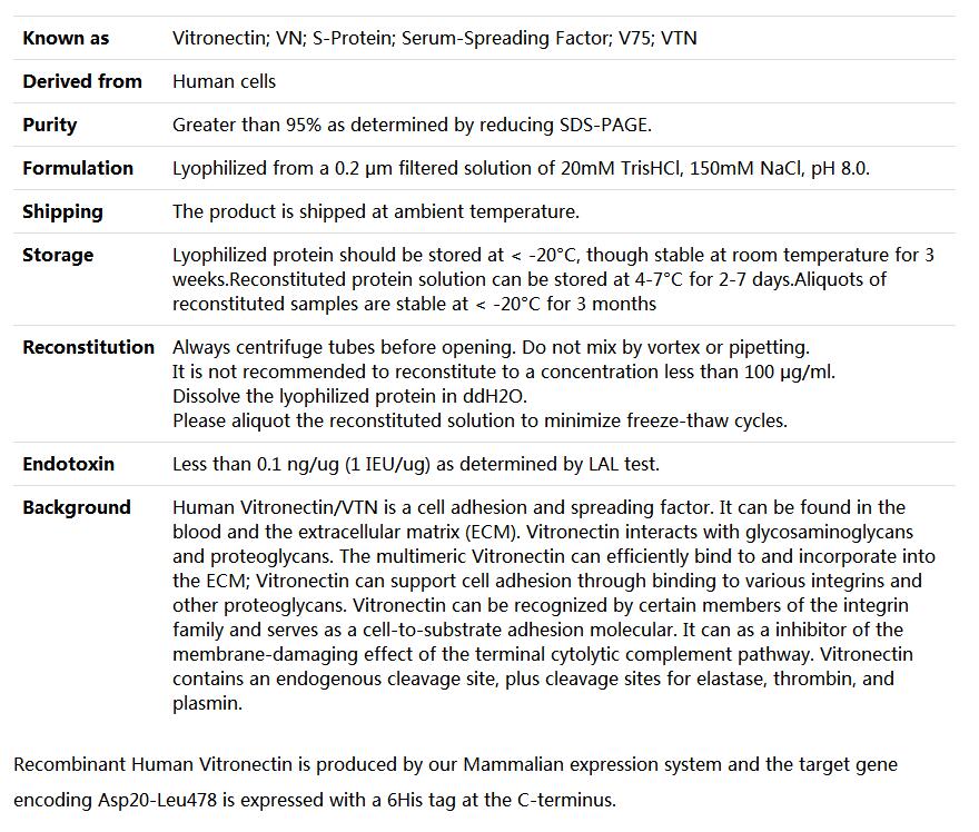 Recombinant Human Vitronectin/VTN,索莱宝,P00082-500ug