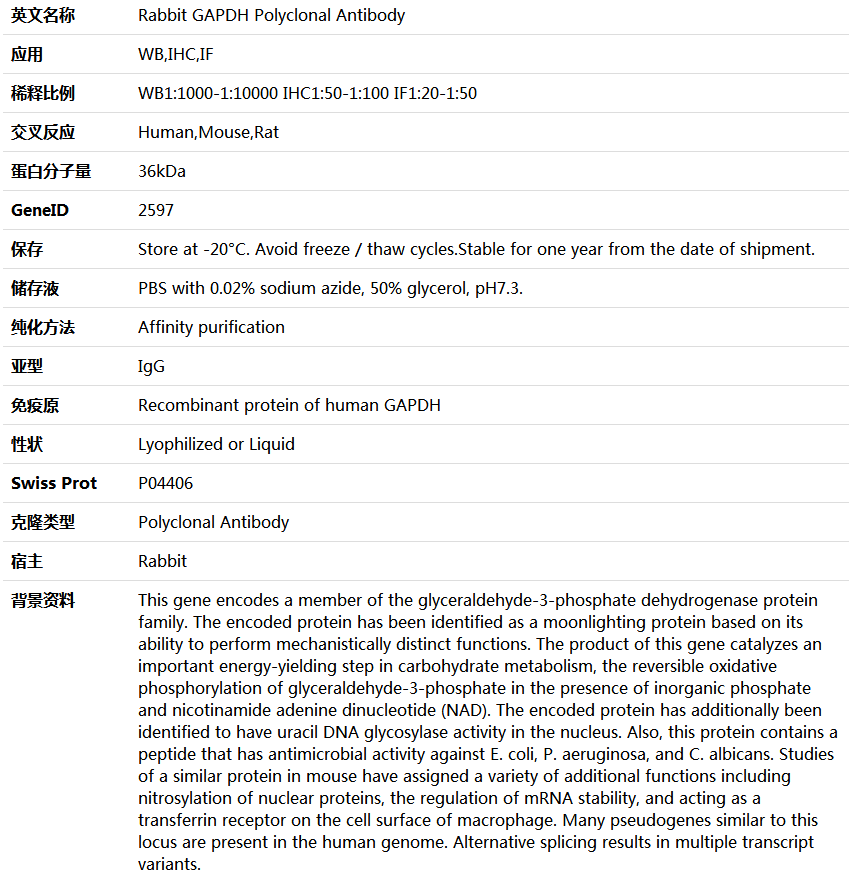 GAPDH Antibody,索莱宝,K006151P-100ul