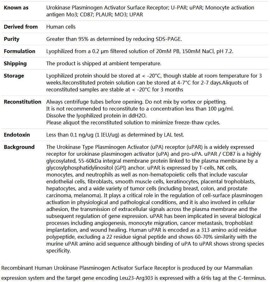 Recombinant Human uPAR/CD87,索莱宝,P00081-1mg