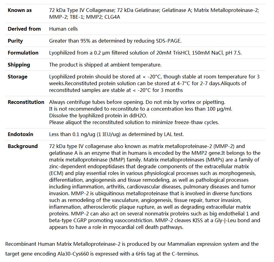 Recombinant Human MMP-2/72 kDa type IV collagenase,索莱宝,P00080-1mg