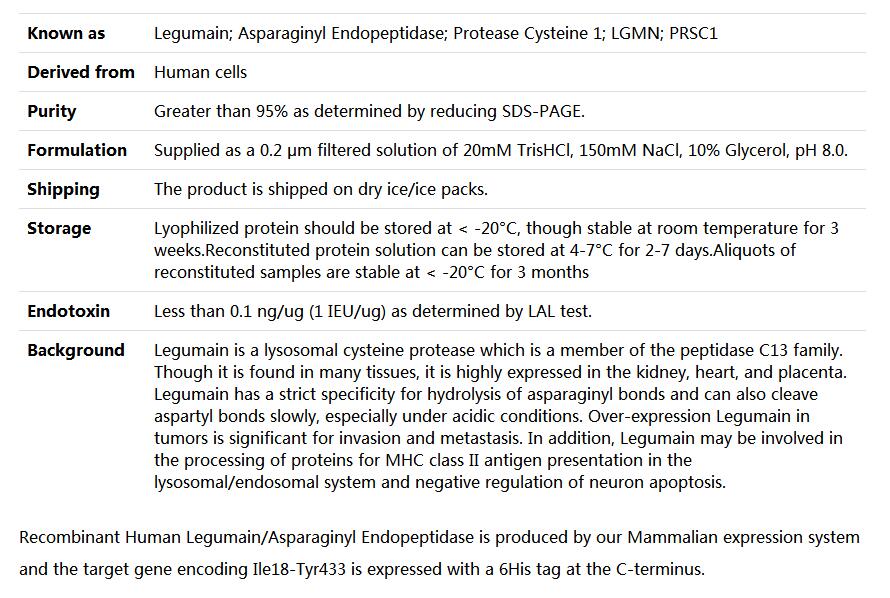 Recombinant Human Legumain/Asparaginyl Endopeptidase,索莱宝,P00079-50ug