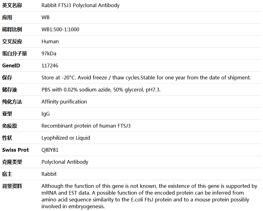 FTSJ3 Antibody,索莱宝,K006148P-100ul