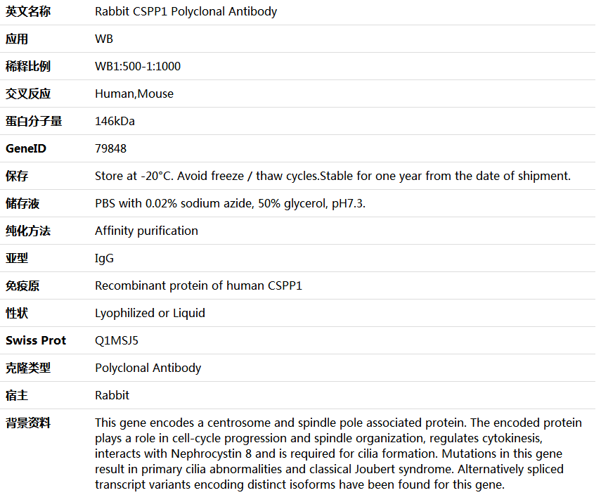 CSPP1 Antibody,索莱宝,K006144P-50ul