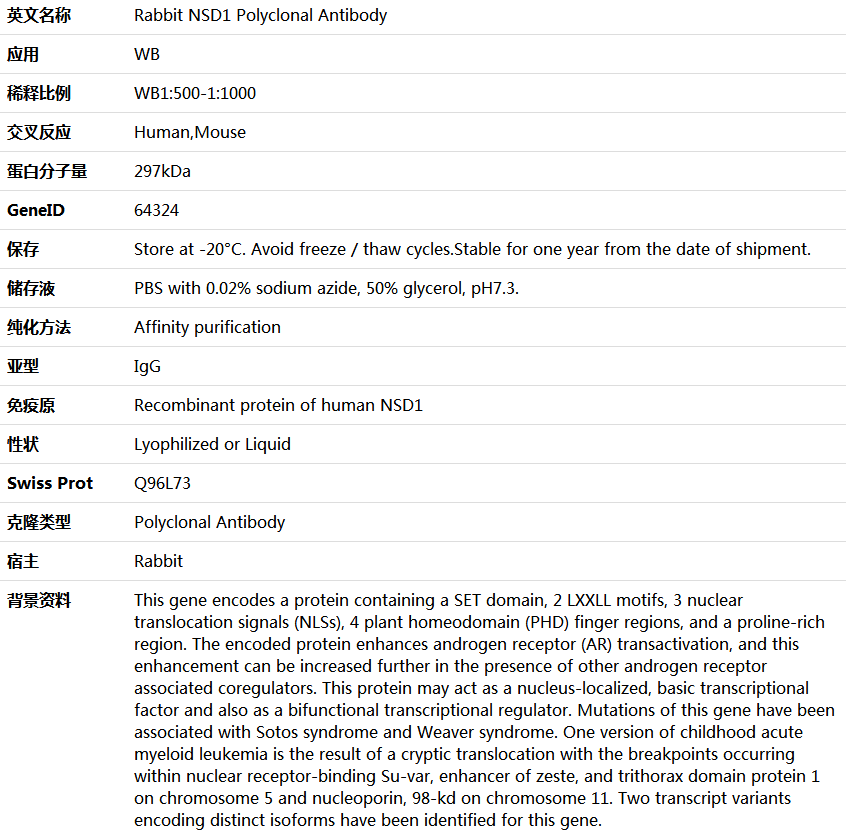 NSD1 Antibody,索莱宝,K006143P-100ul