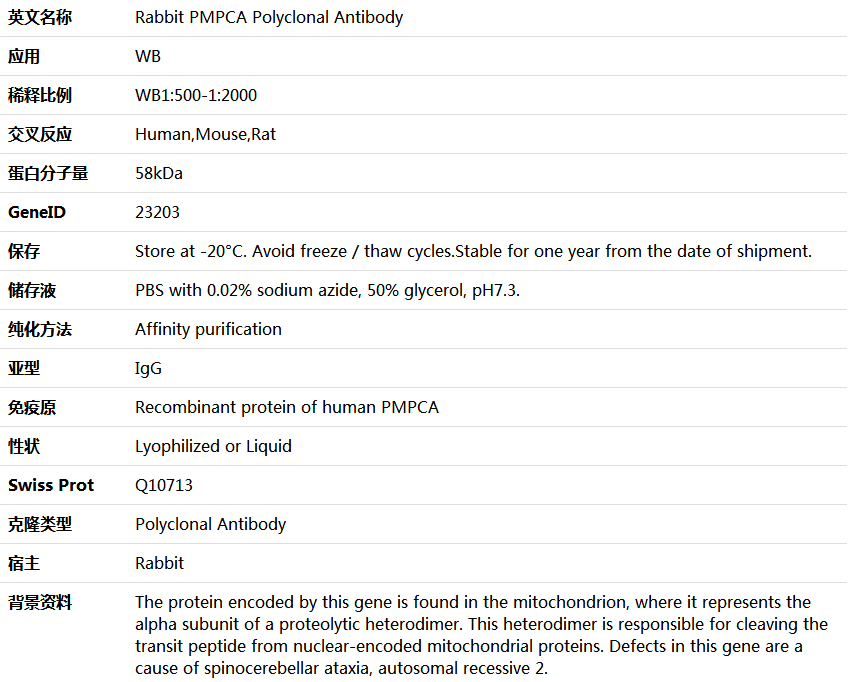 PMPCA Antibody,索莱宝,K006134P-100ul