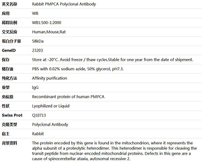 PMPCA Antibody,索莱宝,K006134P-50ul