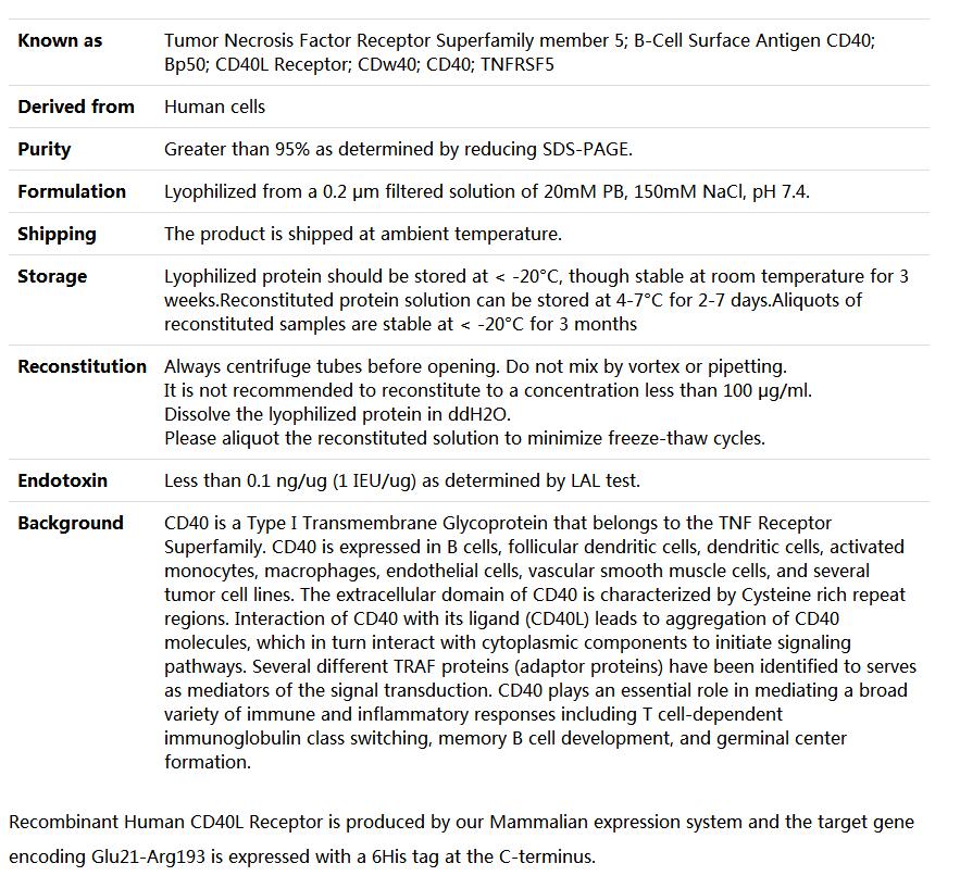 Recombinant Human CD40/TNFRSF5,索莱宝,P00073-10ug