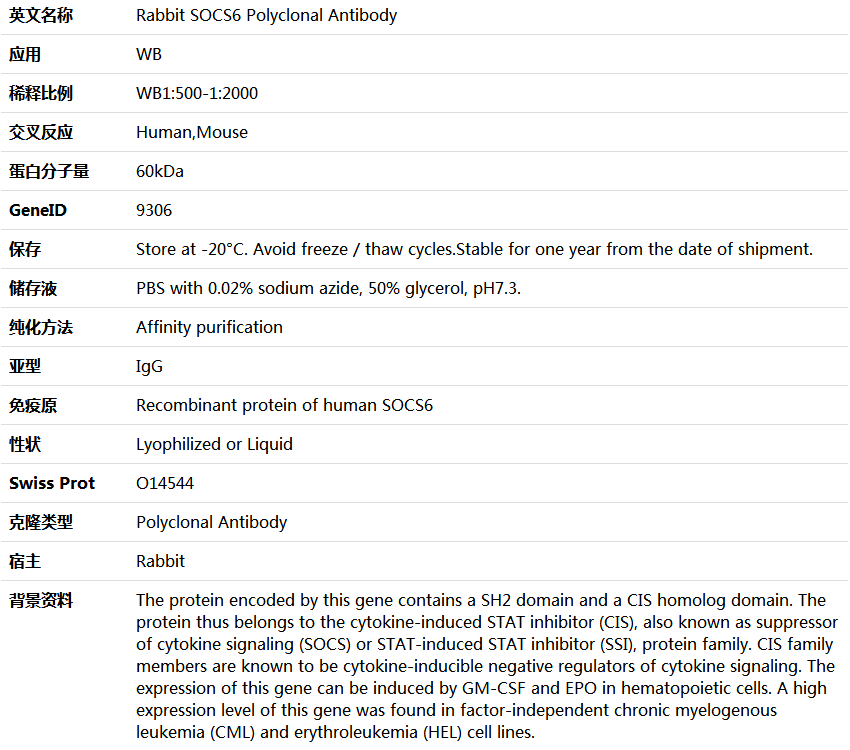 SOCS6 Antibody,索莱宝,K006128P-100ul