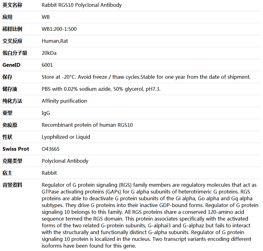 RGS10 Antibody,索莱宝,K006124P-100ul