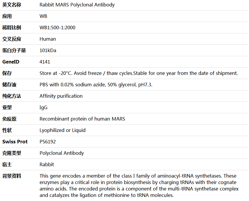 MARS Antibody,索莱宝,K006119P-50ul